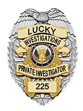 Professional Investigation Services
